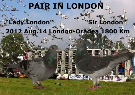 pair_in_london_copy.jpg